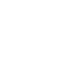 constalica23